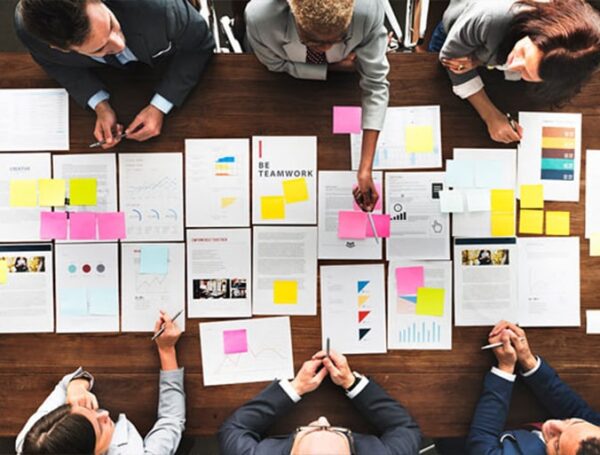 Project Consultation